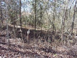Lot 9 tbd Cypress Row