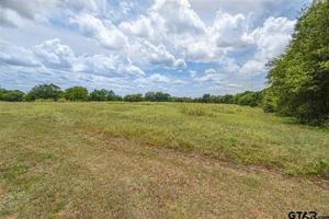 175 Pecan Drive