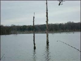 33 County Road 1953 Lot 33