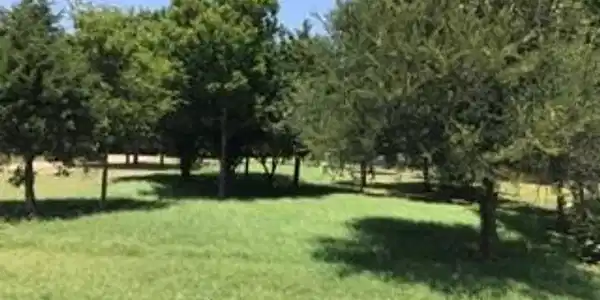 0 Francisco Bay I Lot 5