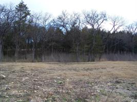 87 Lone Oak Boulevard