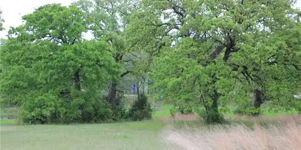 14025 Whatley Drive Lot 23-4