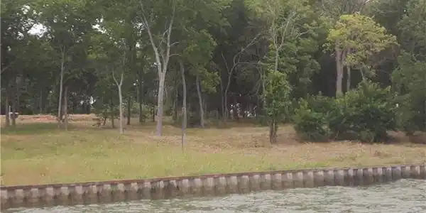Lt 557 Lake View Landing Lot 557