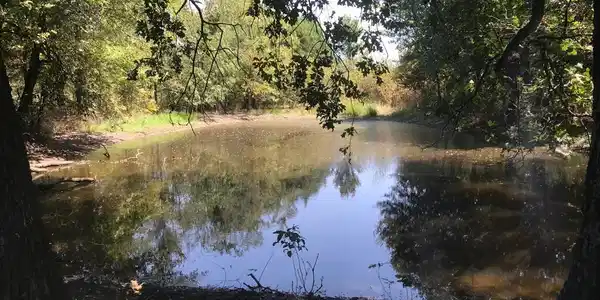 26 SE County Road 4210