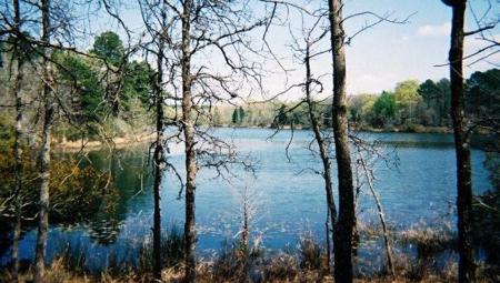 9349 Safari Shores Drive