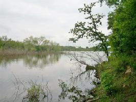 842 Frontier Street Lot 6-8