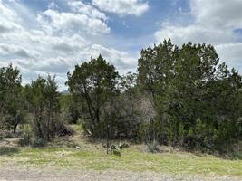 917 Thicket Trail