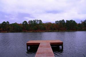 9463 Safari Shores Lot 234