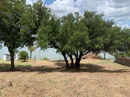 Lot 45 TBD County Road 219