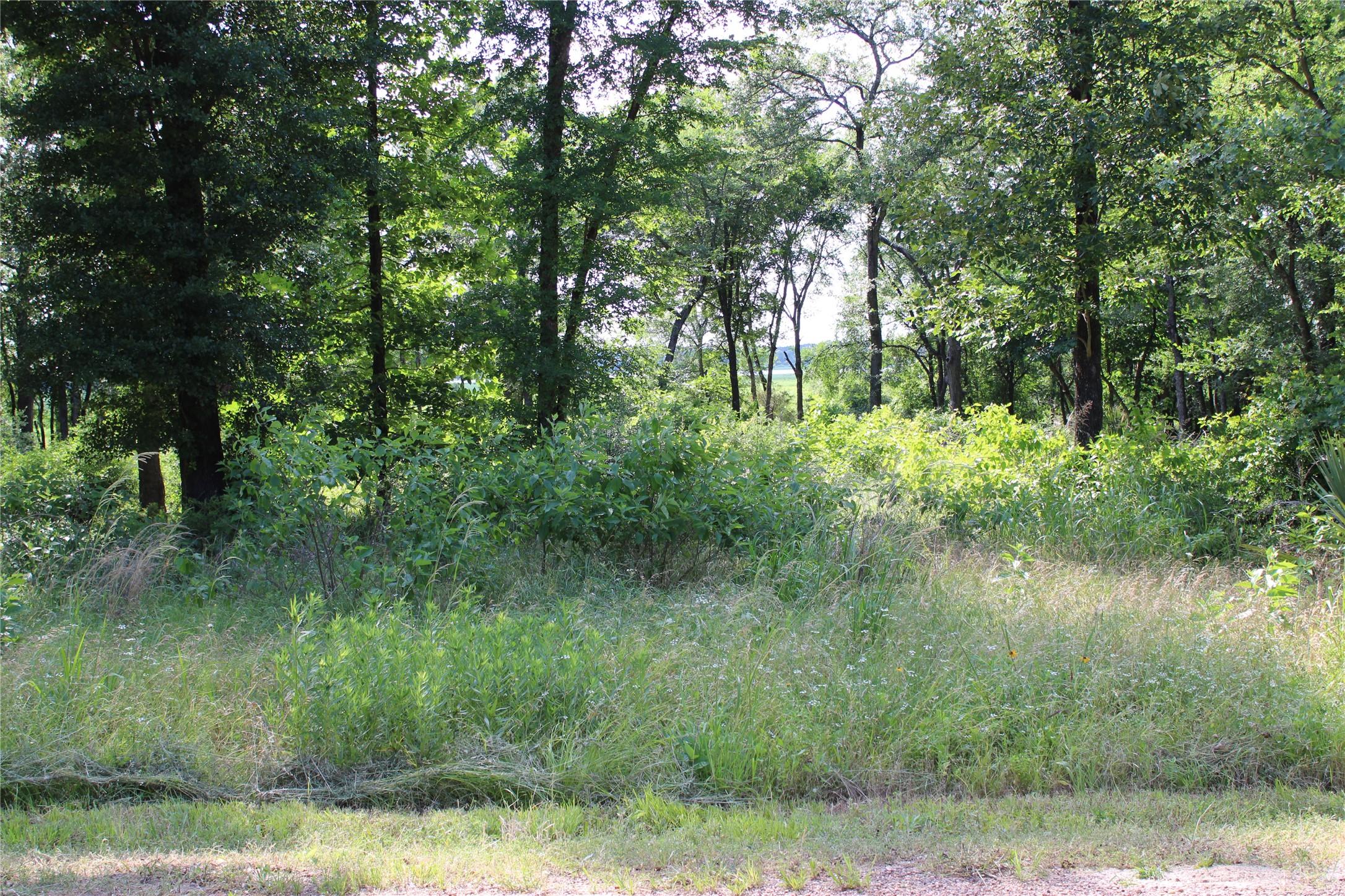Image 4 Image 4
