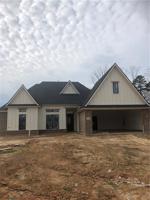 719 Julesburg Lane