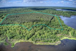 188 TBD County Road 1792