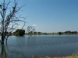 AB 146 Rs County Road 1605