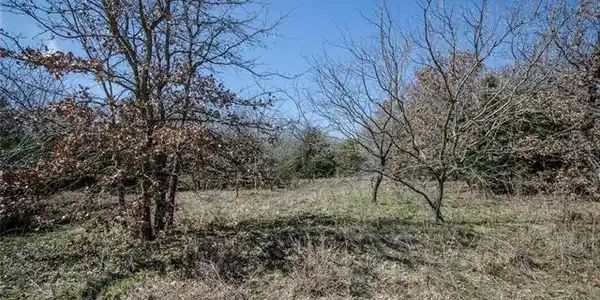 L 11 SE County Road 3135 Lot 11