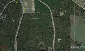 LT 29 Zebra Crossing Lot 29