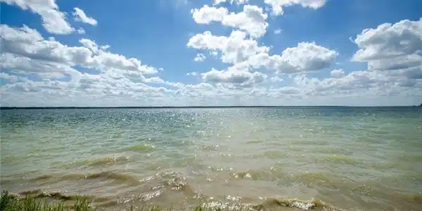 Lot 316 L 316 The Shores Drive
