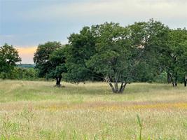 Lot 21R Cactus Rio Lane