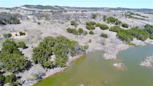 Lot 912 Lt 912 Cinnamon Teal