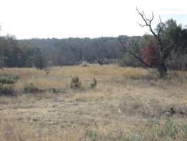 9560 County Road 105
