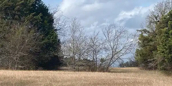 Lot 96 Fiddler Lane
