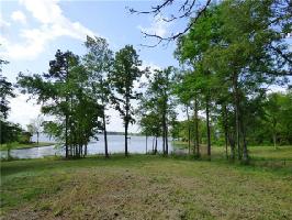 TBD County Road 2335 Lot 20