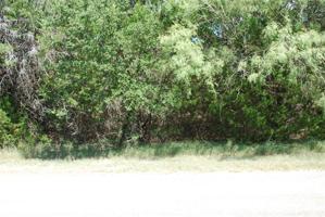 35010 Shadywood Lane