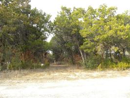 Lot 236- Palmino Loop