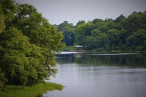 Lot 73 Pine Grove Court