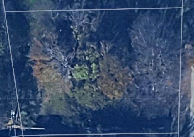 Image 1 Image 1