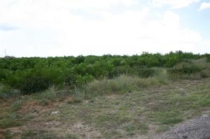 Split Rail Drive Lot 3