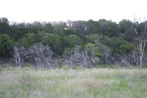 Split Rail Ranch Lot 11
