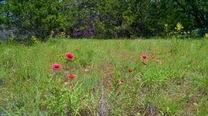 1220 Plateau Place Lot L-7