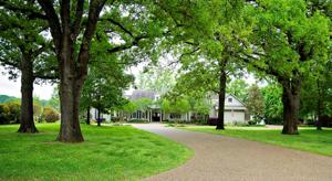 2401 Rose Point