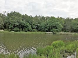 9042 Safari Bluff Lot 453
