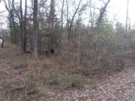 tbd Dogwood Drive