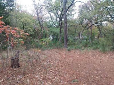 TBD James Fannin Road