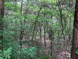 Lot 10 TBD Lakepoint Loop E