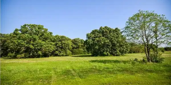 Lot 272 L 272 Palomino Court