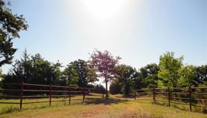 TBD County Rd 103