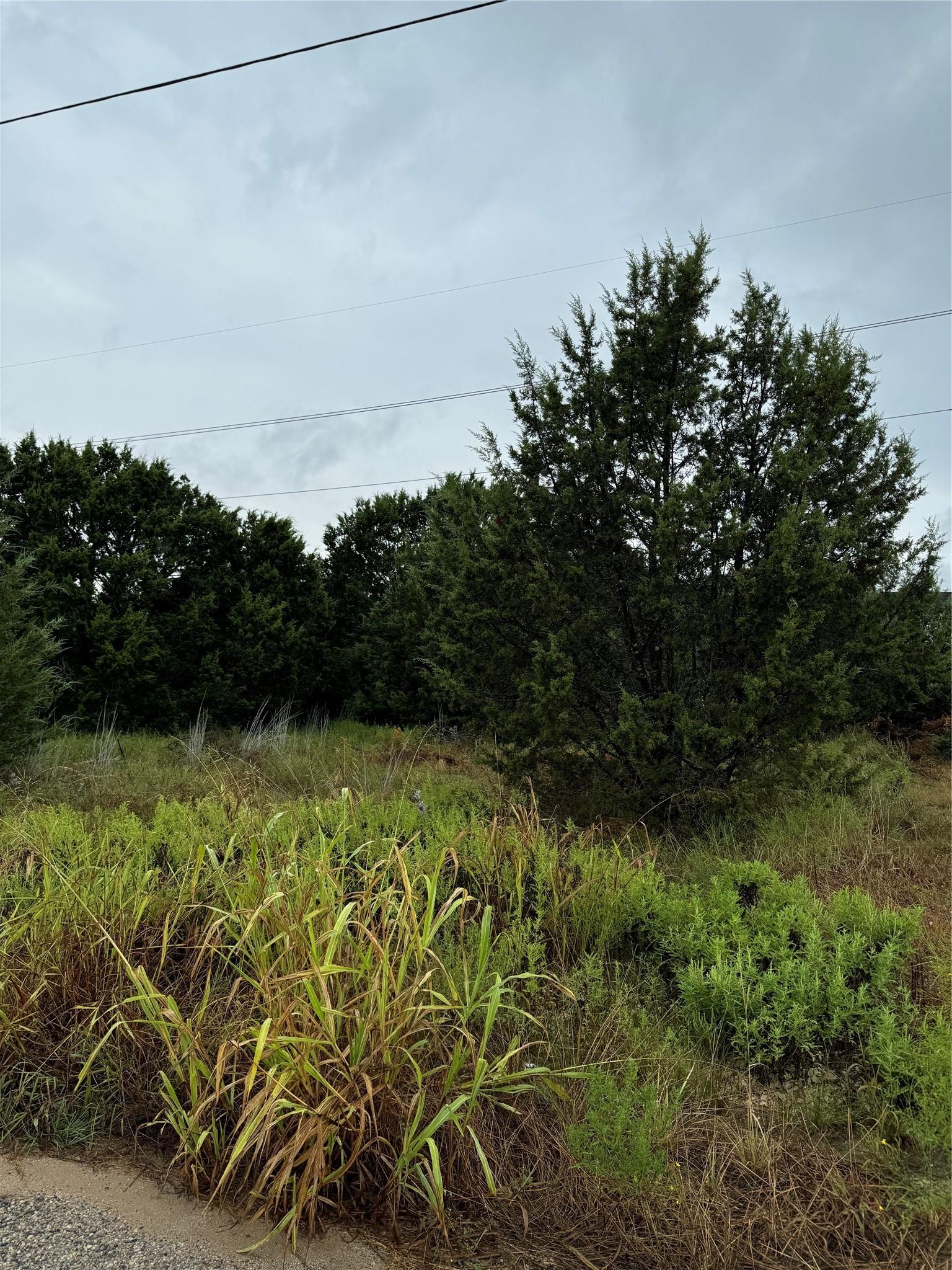 Image 4 Image 4