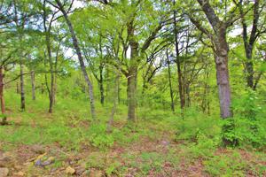 Lot 1 Lakecrest Drive