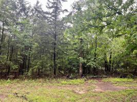 TBD KINGS COUNTRY SEC 1