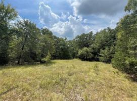Lot 35 Sunset Boulevard