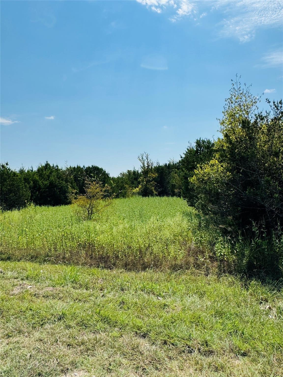 Image 3 Image 3