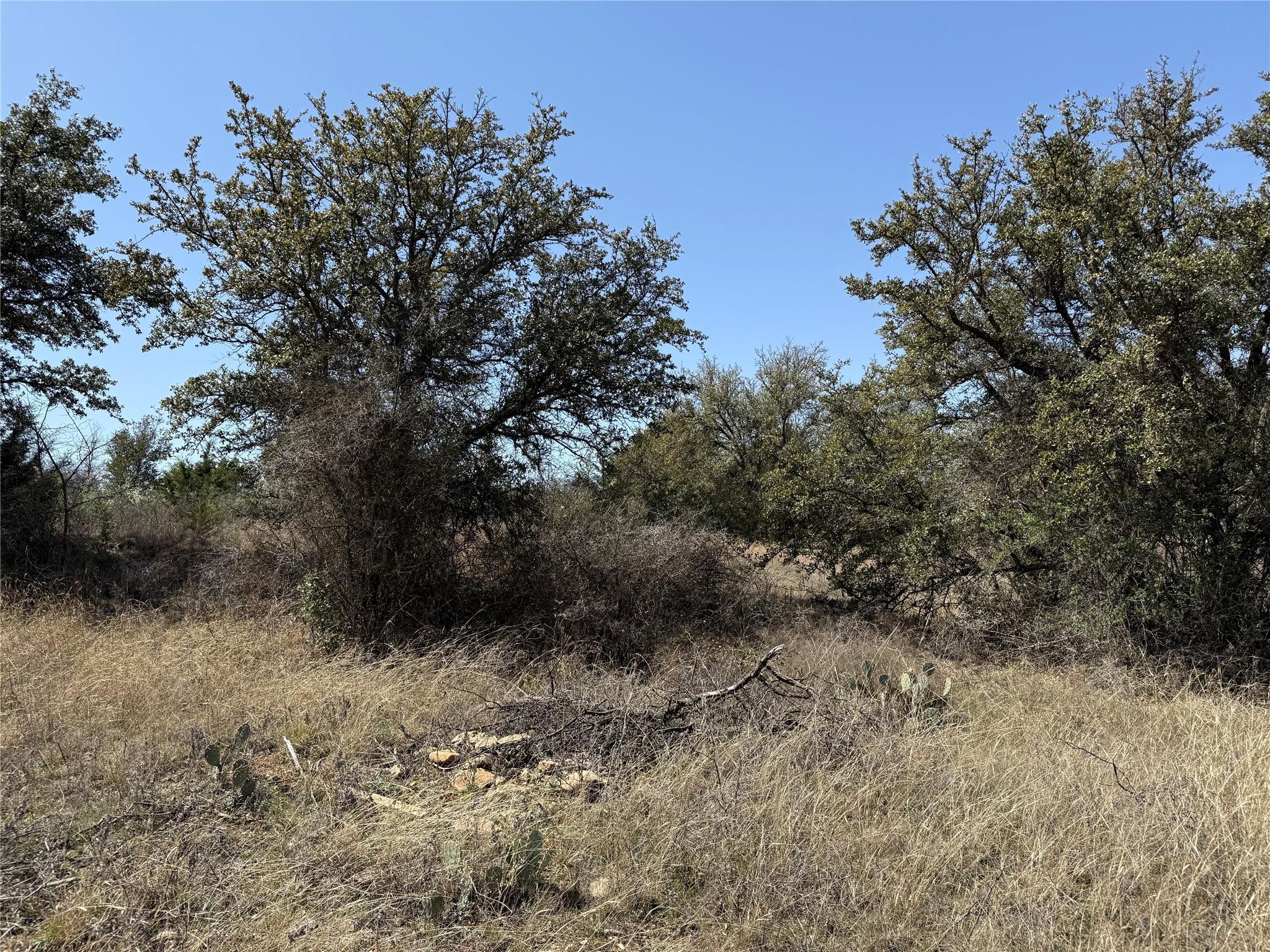 Image 3 Image 3