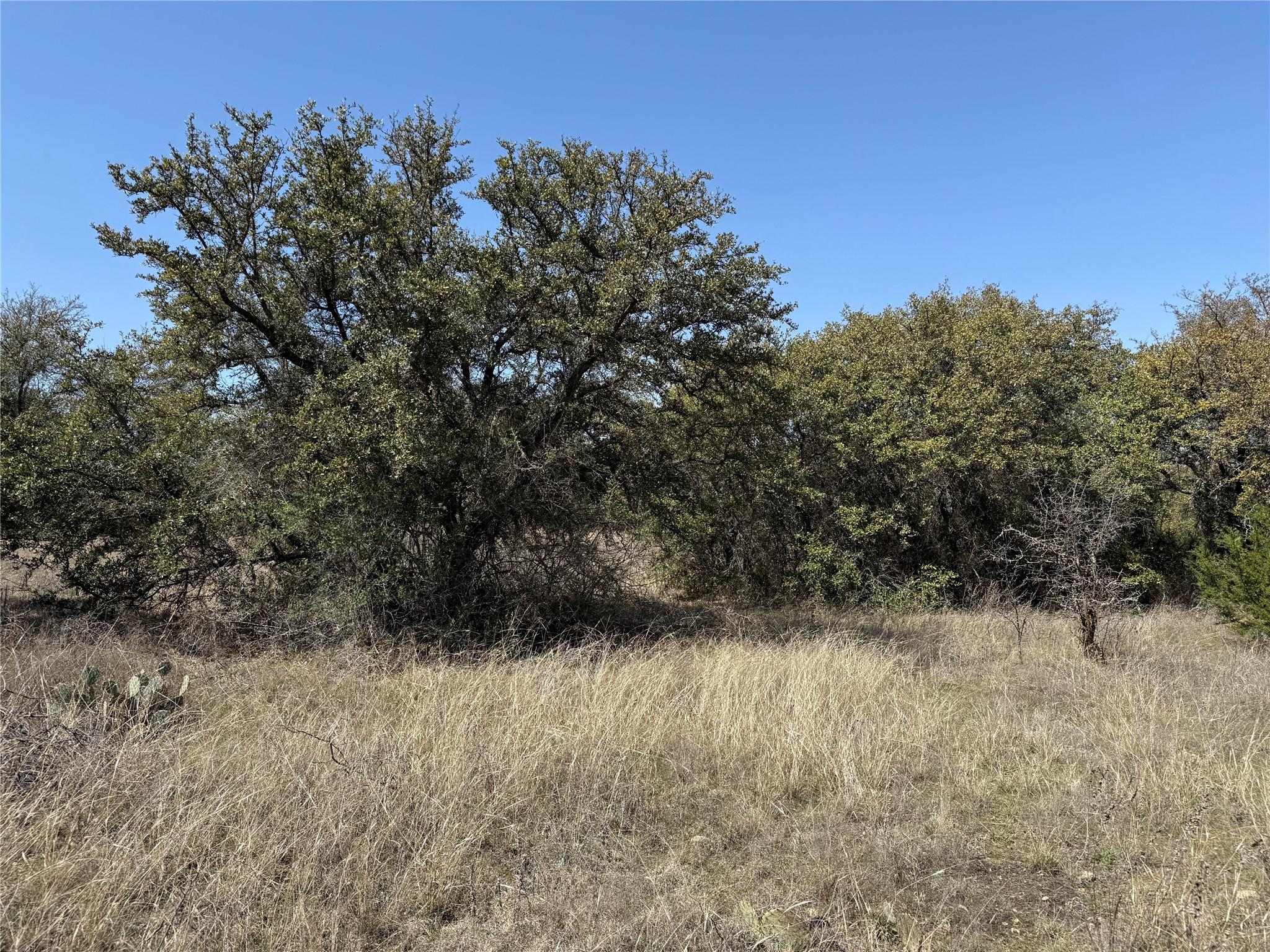 Image 4 Image 4