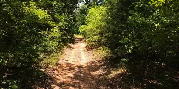 Lt 22 North Shore Drive Lot 22