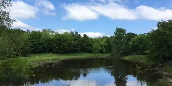 Lot 54 Horizon Way Lot 54