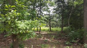 Lot 76 Riner Road