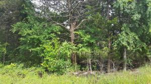 Lot 77 Riner Road